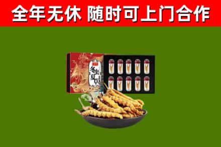 漳州市回收冬虫夏草价格